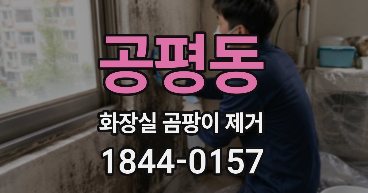 공평동 화장실 곰팡이 제거