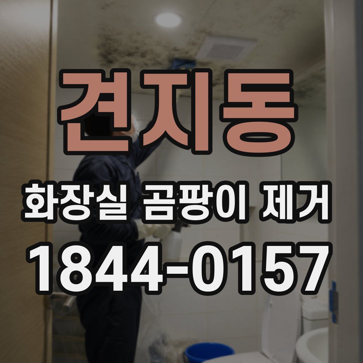 견지동 화장실 곰팡이 제거