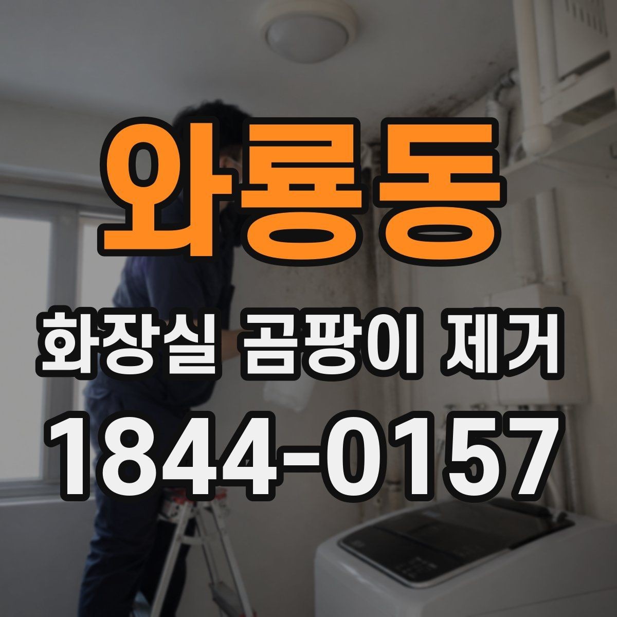 와룡동 화장실 곰팡이 제거 변기 옆 검은 자국이 커질 때 확인할 부분