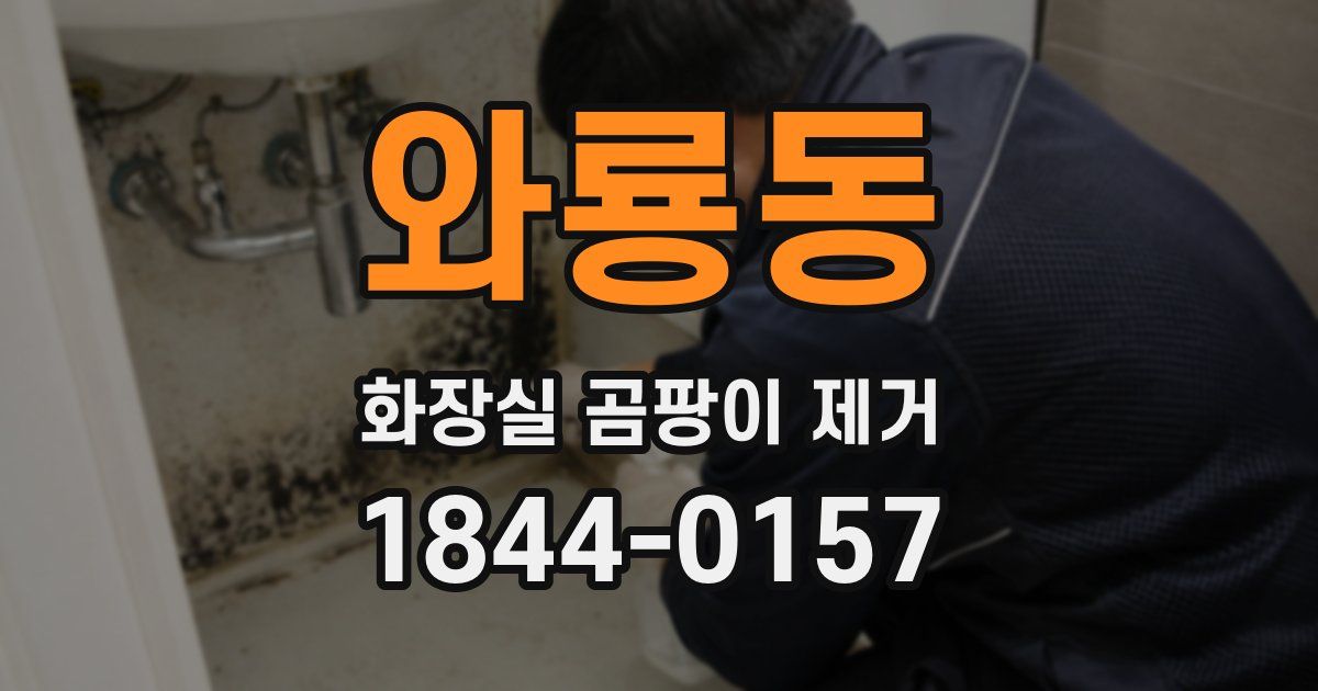 와룡동 화장실 곰팡이 제거