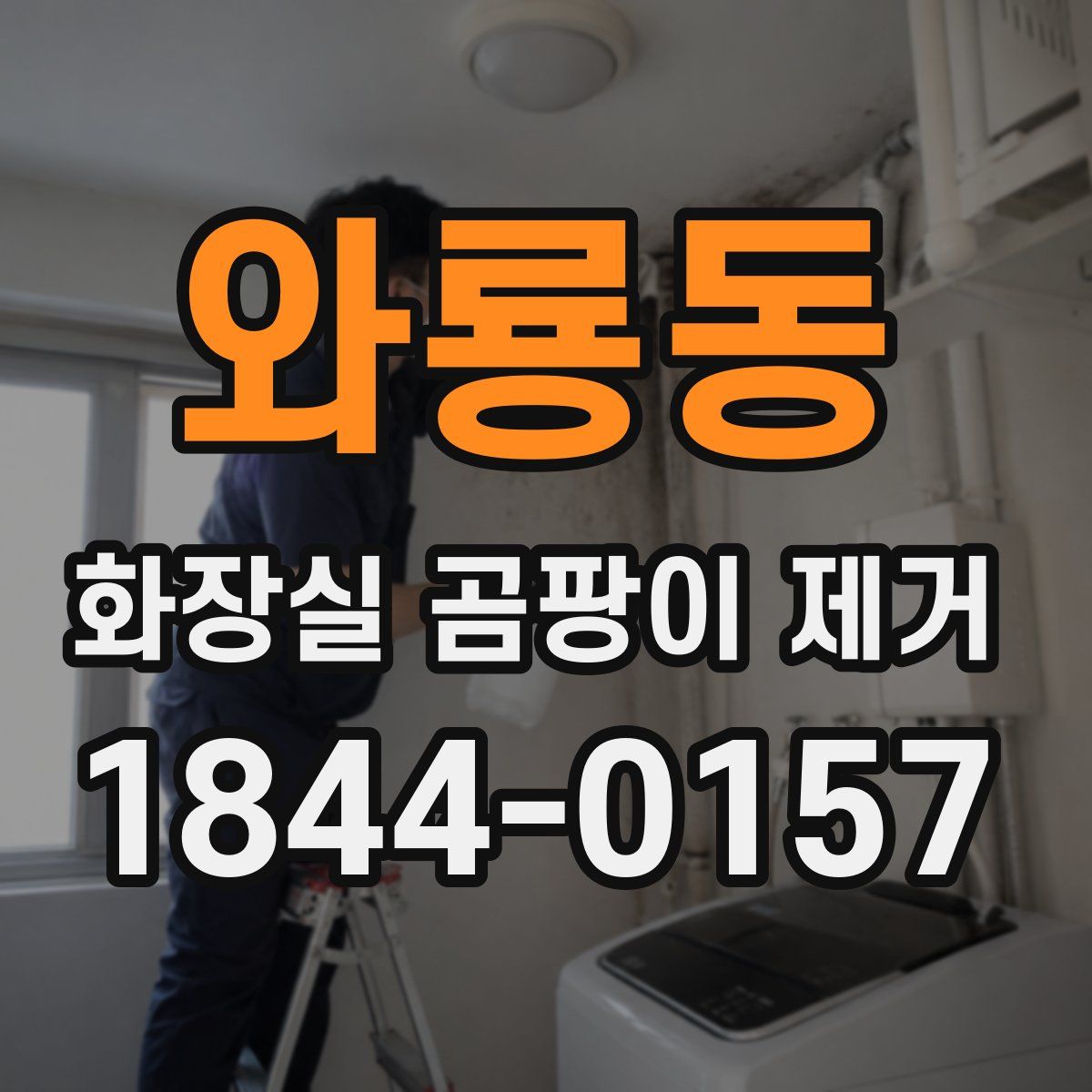 와룡동 화장실 곰팡이 제거