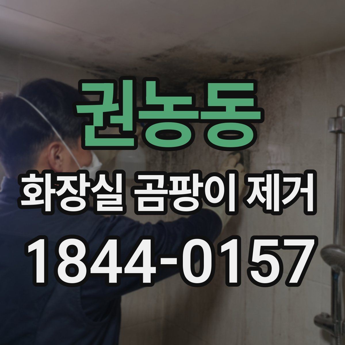 권농동 화장실 곰팡이 제거 재발을 줄이는 환기와 건조 습관