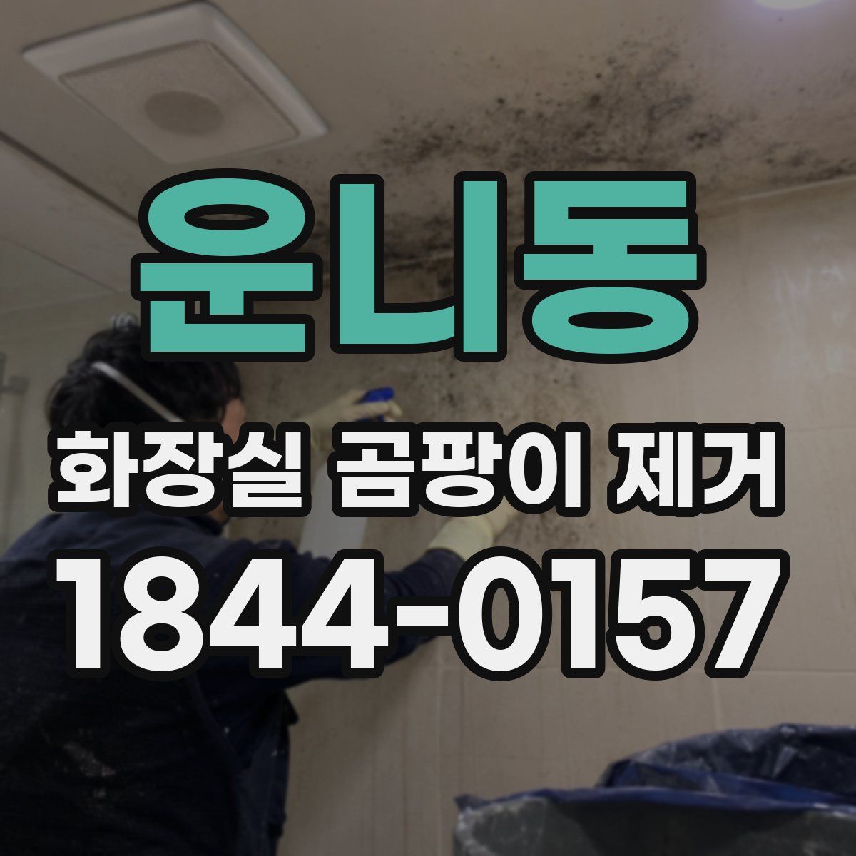 운니동 화장실 곰팡이 제거
