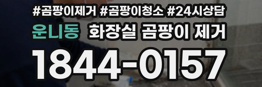 운니동 화장실 곰팡이 제거