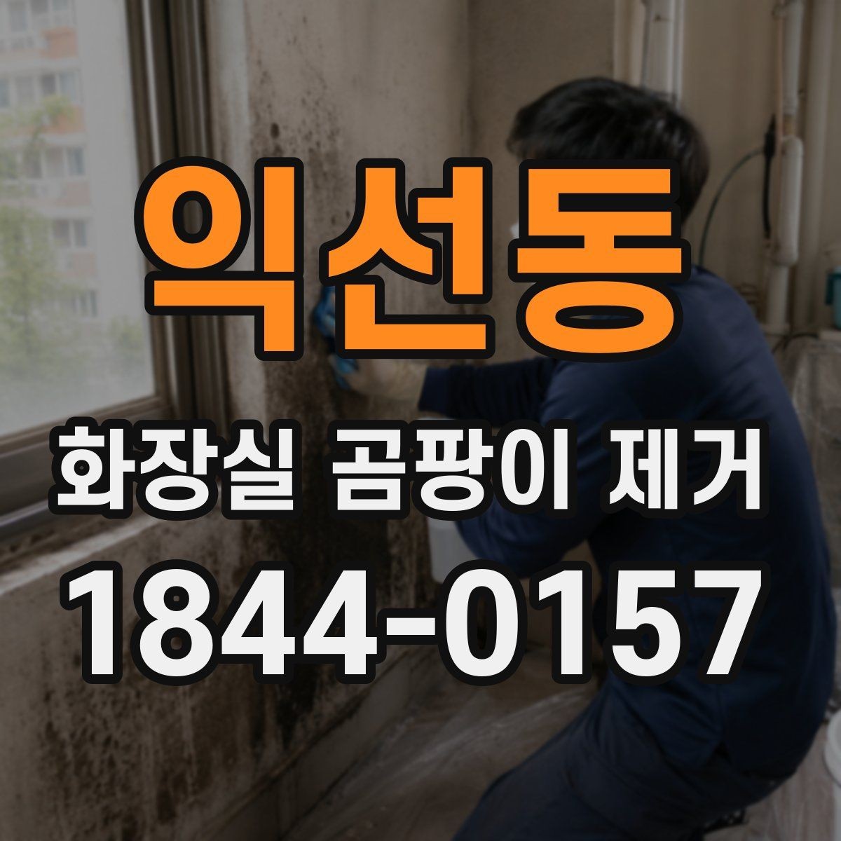 익선동 화장실 곰팡이 제거 청소 도구별 효과 차이와 작업 순서