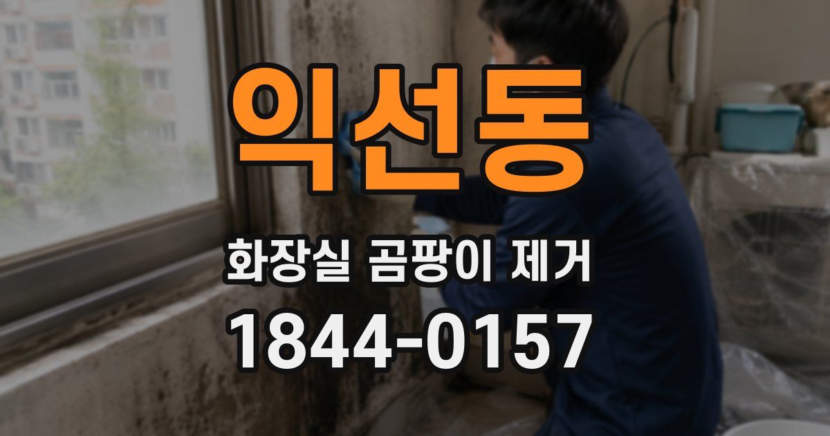 익선동 화장실 곰팡이 제거