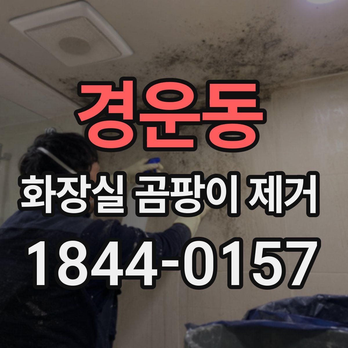 경운동 화장실 곰팡이 제거