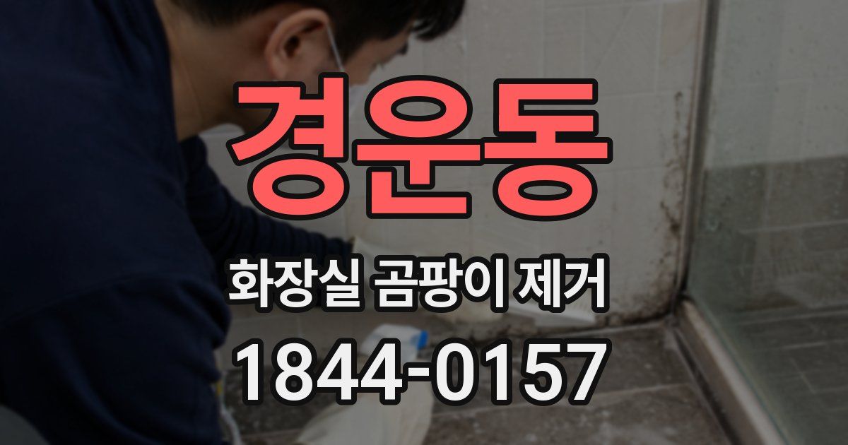 경운동 화장실 곰팡이 제거