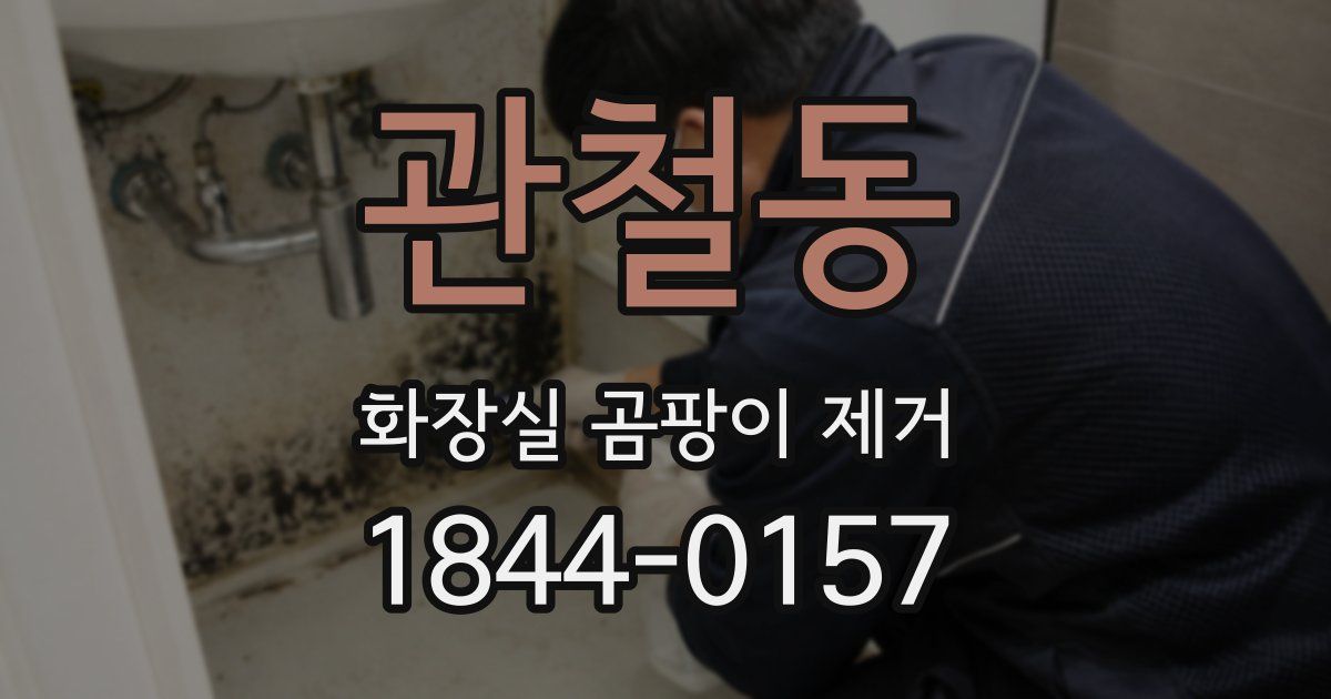 관철동 화장실 곰팡이 제거
