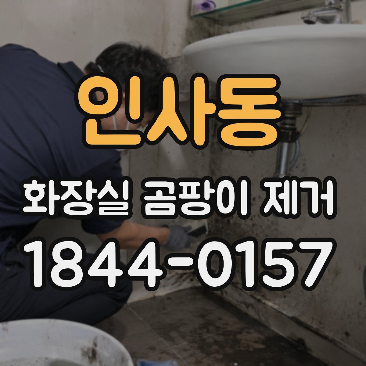 인사동 화장실 곰팡이 제거