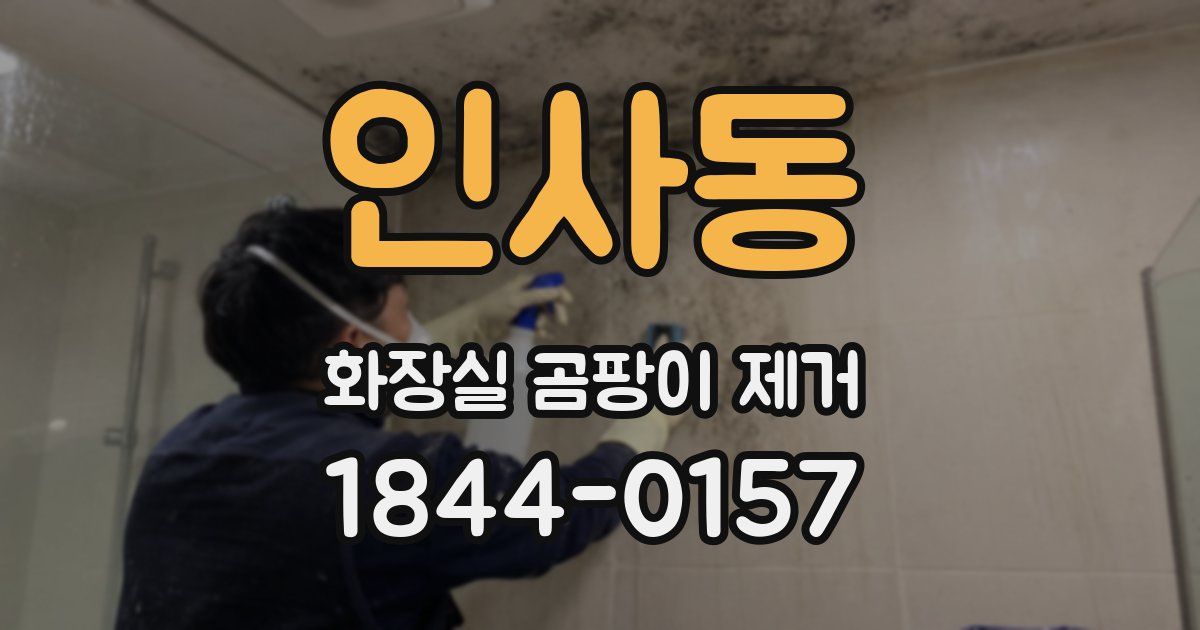 인사동 화장실 곰팡이 제거