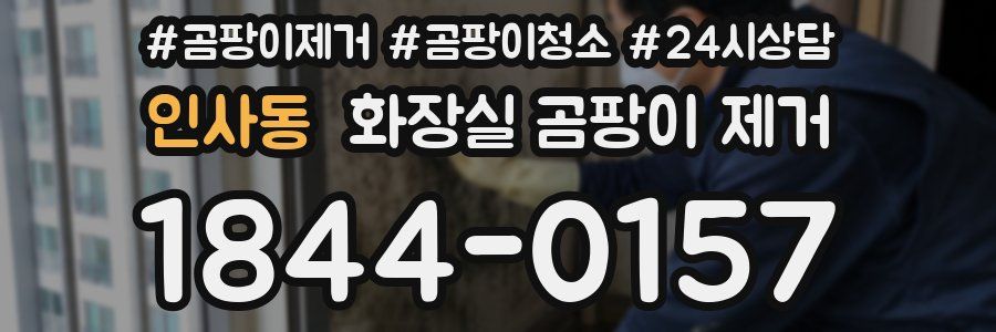 인사동 화장실 곰팡이 제거