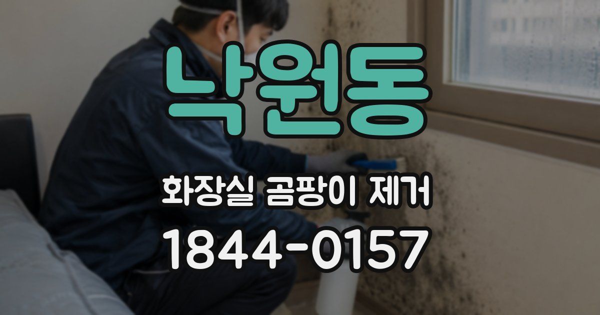 낙원동 화장실 곰팡이 제거