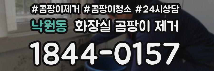 낙원동 화장실 곰팡이 제거