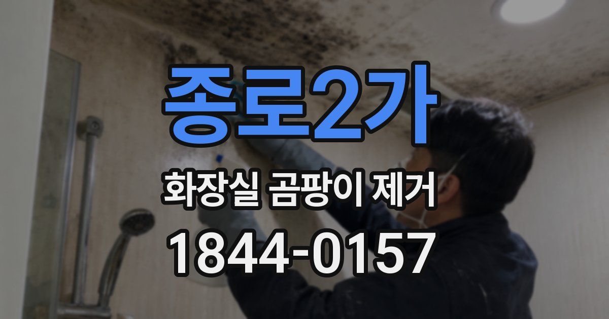 종로2가 화장실 곰팡이 제거