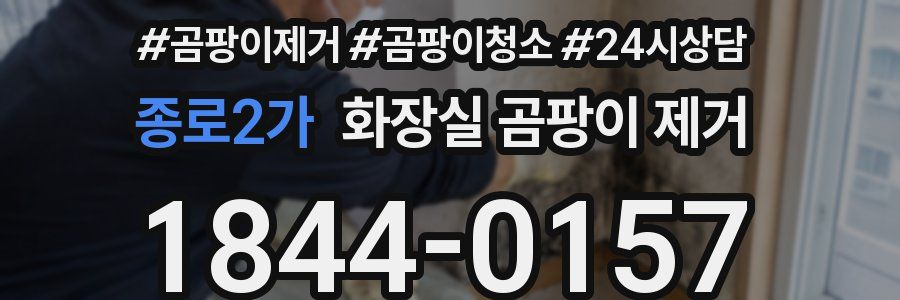 종로2가 화장실 곰팡이 제거