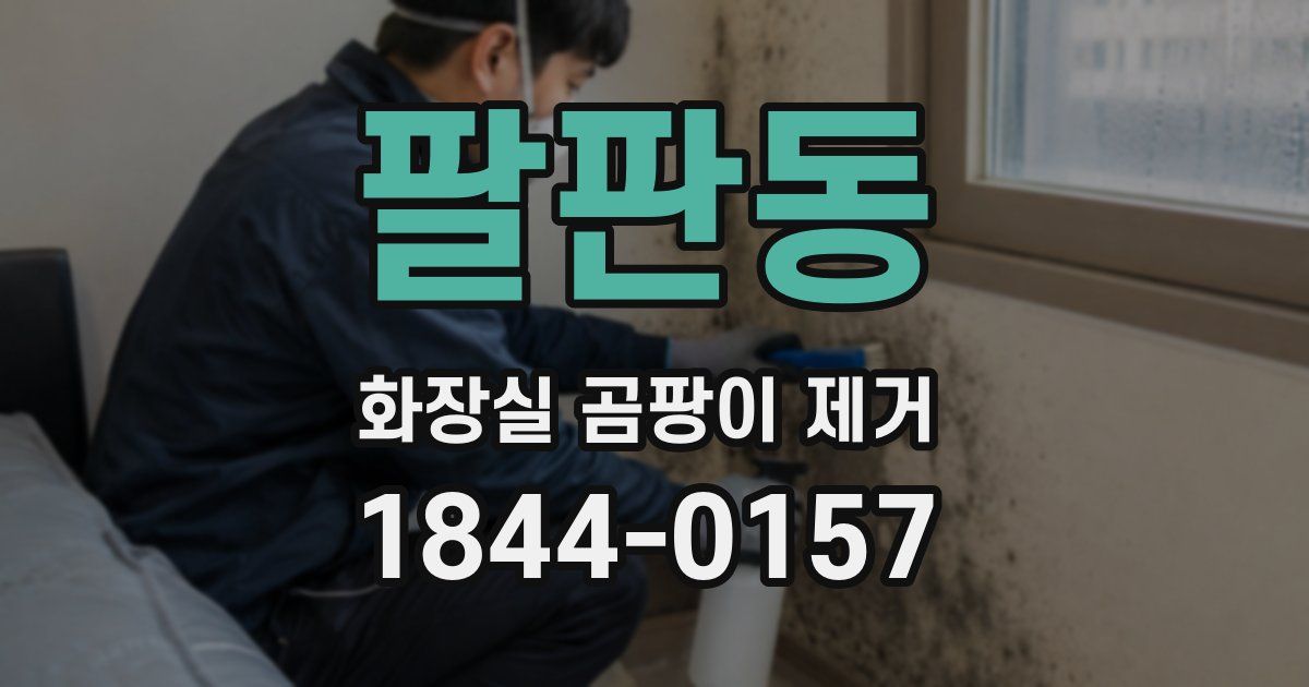 팔판동 화장실 곰팡이 제거