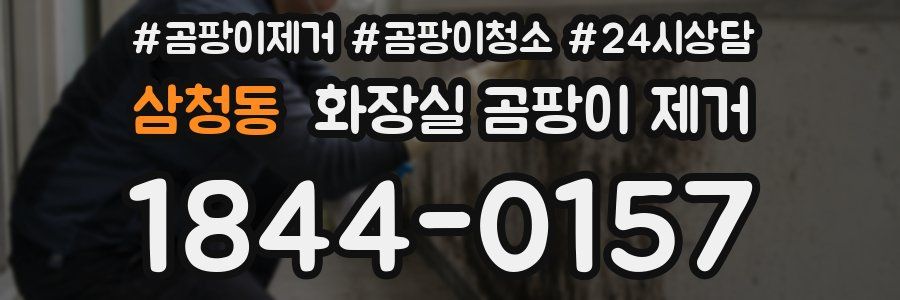 삼청동 화장실 곰팡이 제거