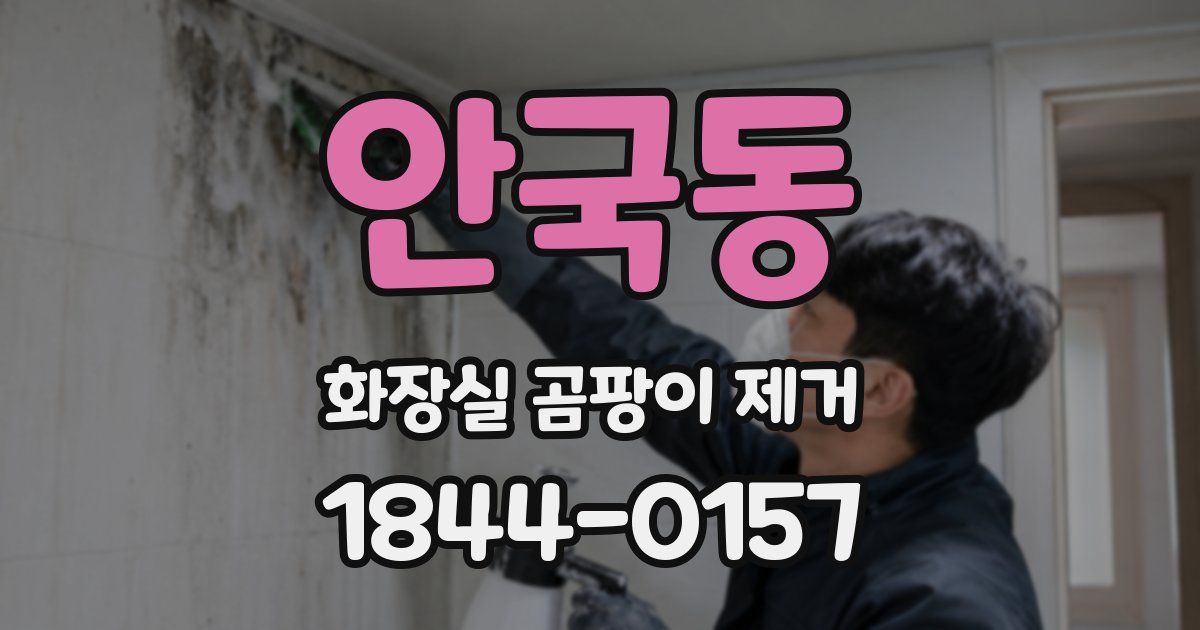 안국동 화장실 곰팡이 제거