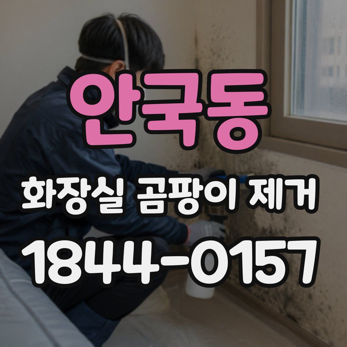 안국동 화장실 곰팡이 제거