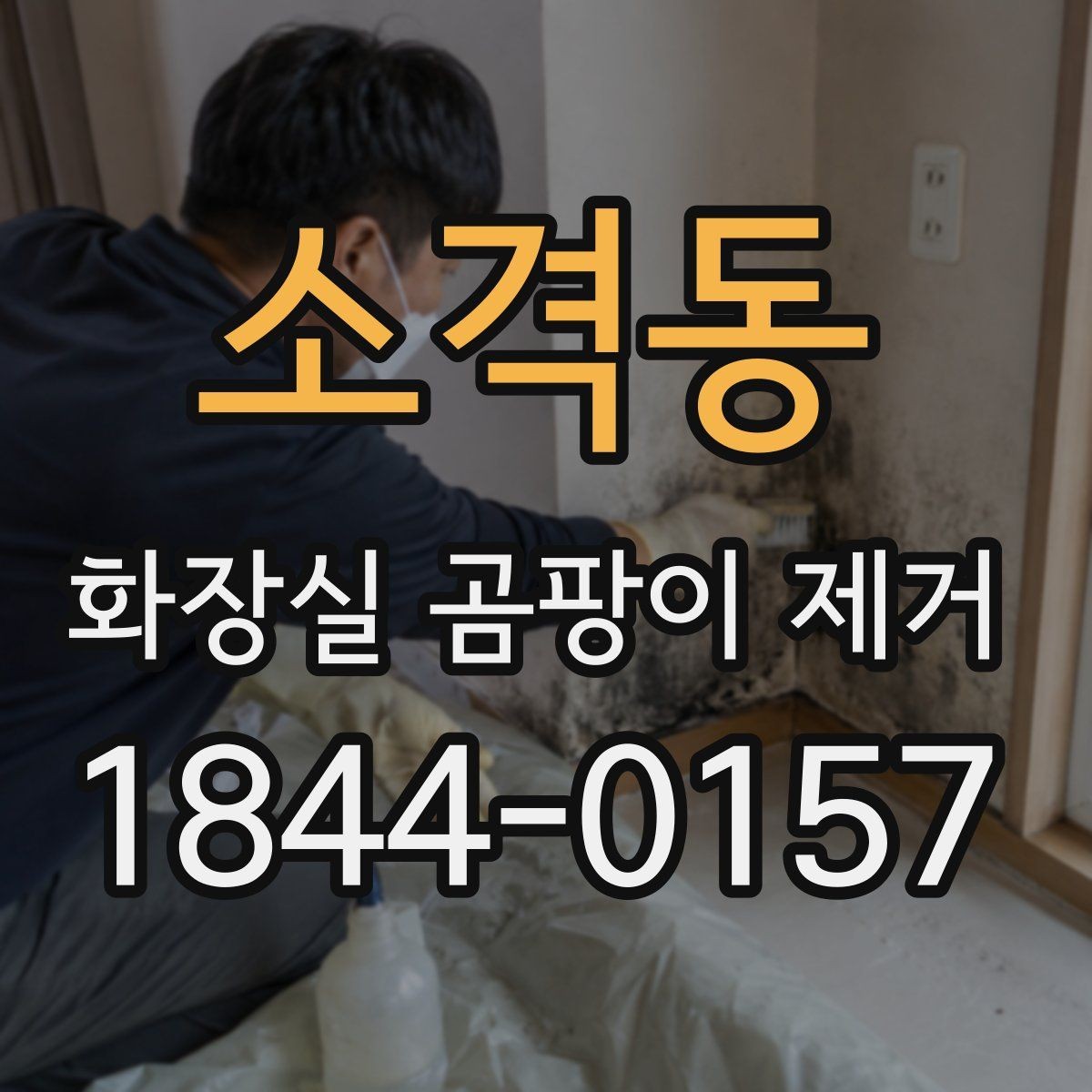 소격동 화장실 곰팡이 제거 실리콘 손상 범위가 넓을 때 대처 방법