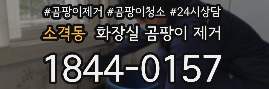 소격동 화장실 곰팡이 제거