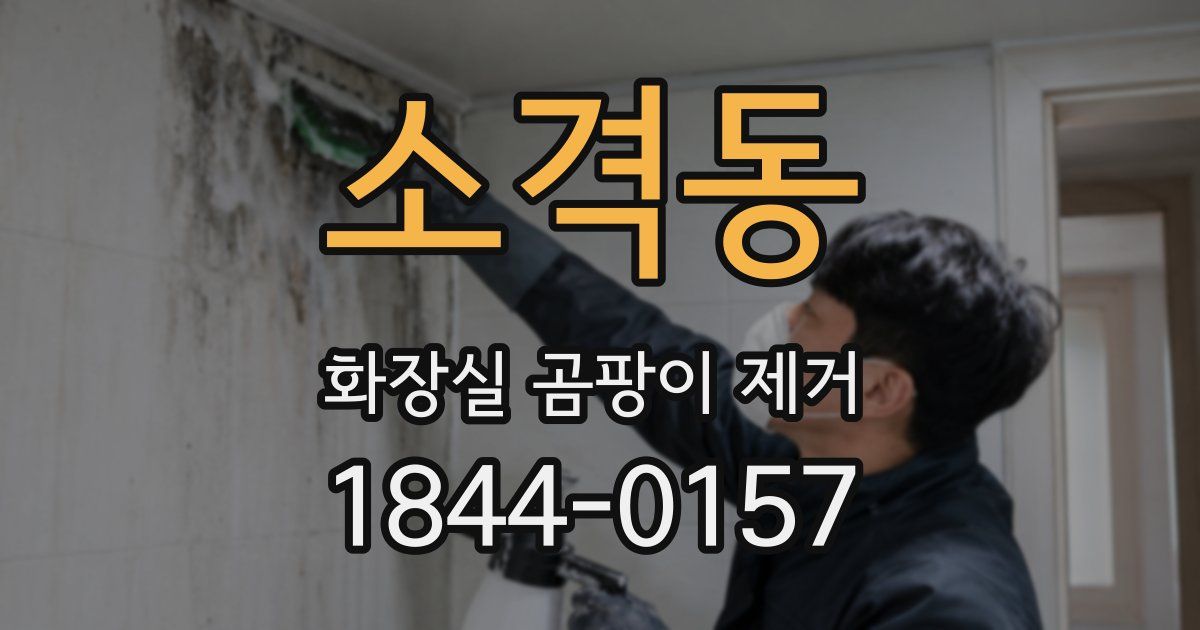 소격동 화장실 곰팡이 제거