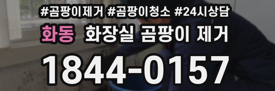 화동 화장실 곰팡이 제거