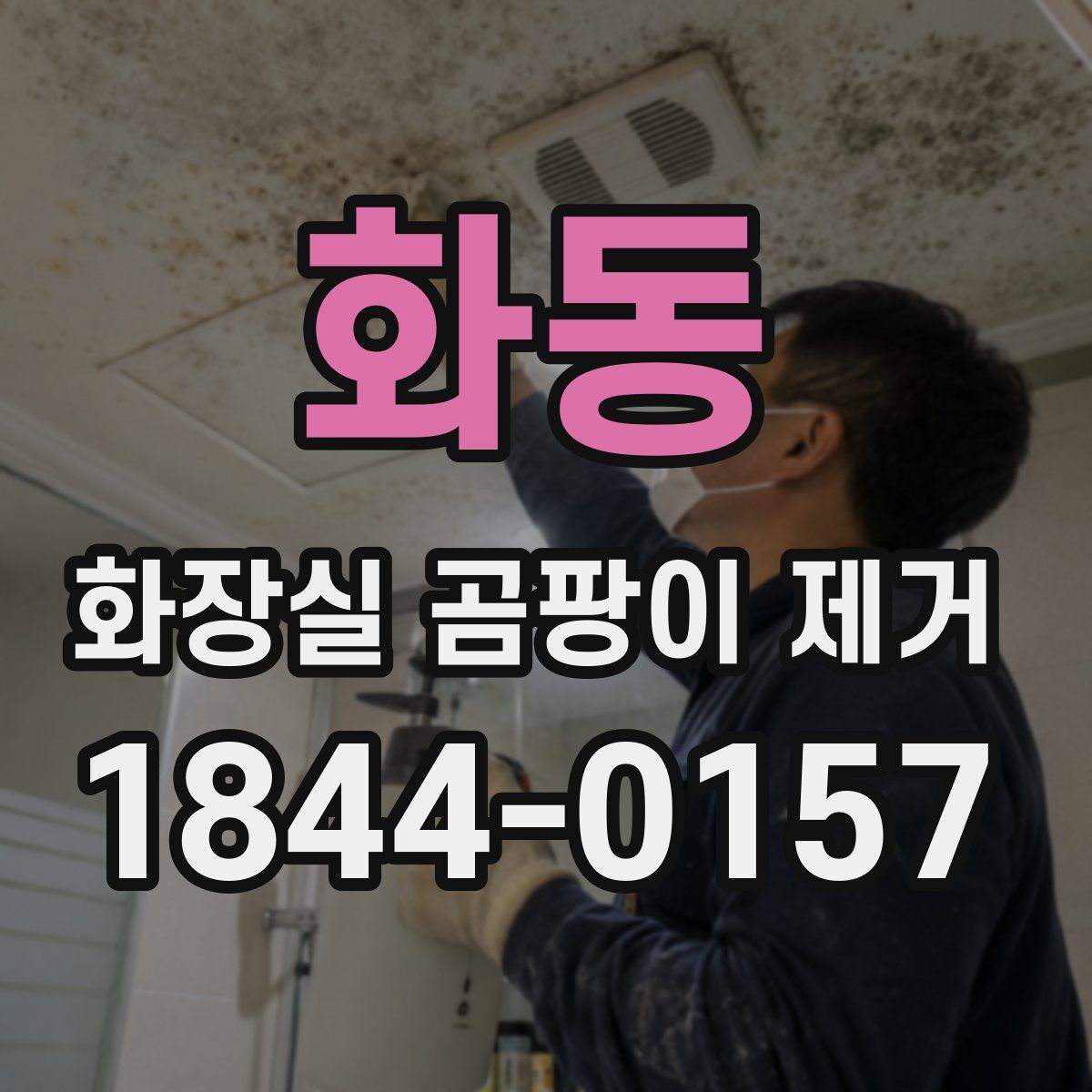 화동 화장실 곰팡이 제거