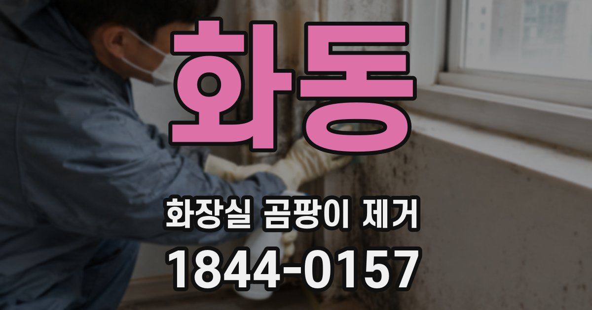 화동 화장실 곰팡이 제거