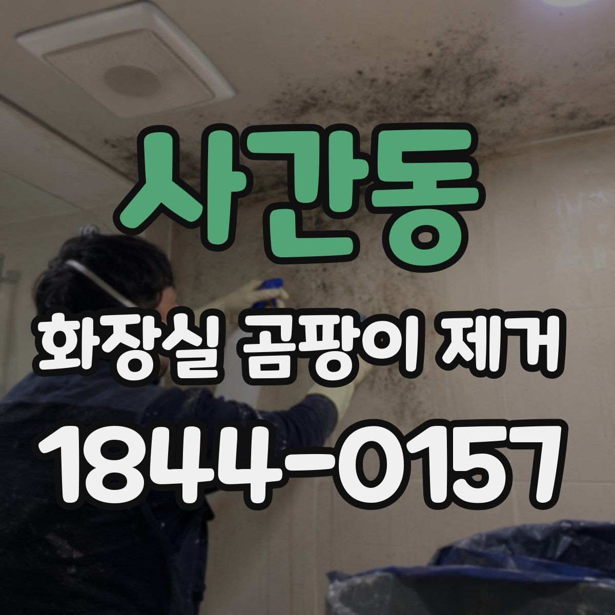 사간동 화장실 곰팡이 제거 세정제로 안 지워질 때 살펴볼 원인