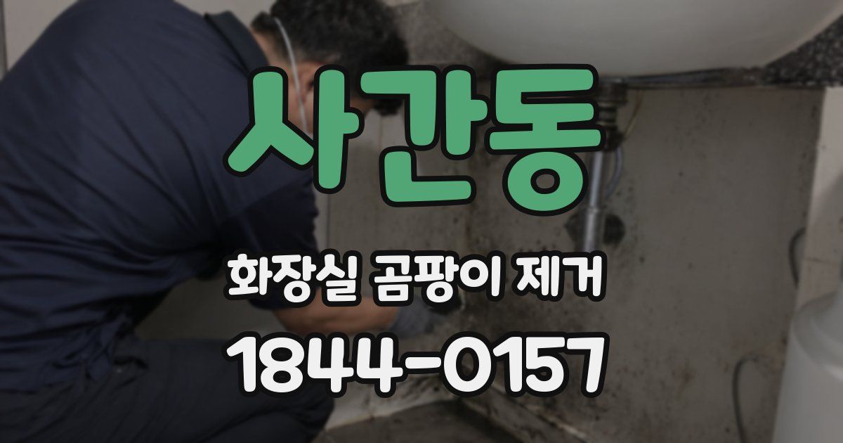 사간동 화장실 곰팡이 제거