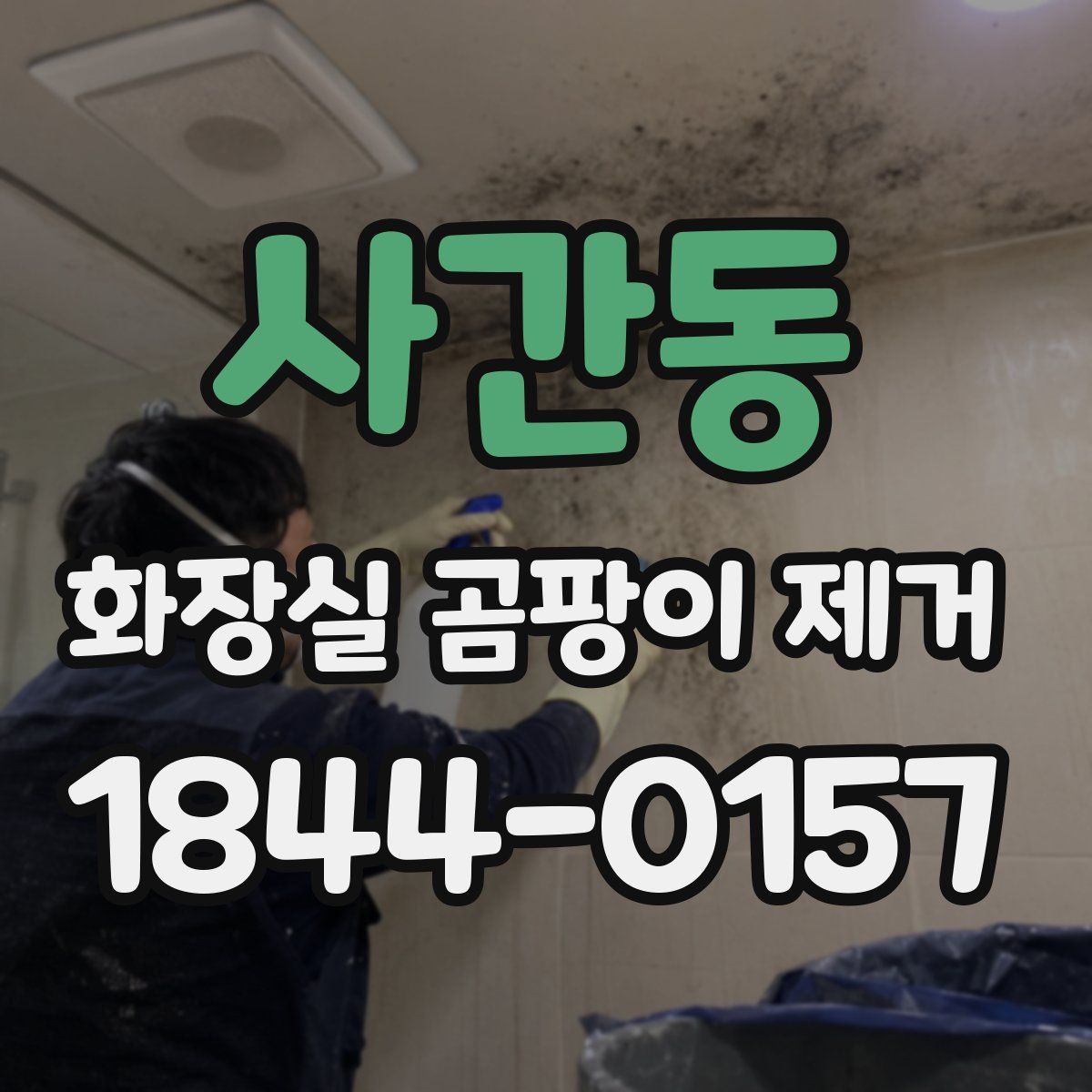 사간동 화장실 곰팡이 제거