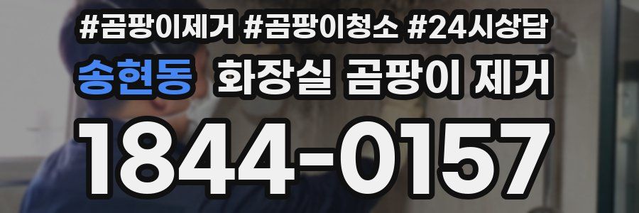 송현동 화장실 곰팡이 제거