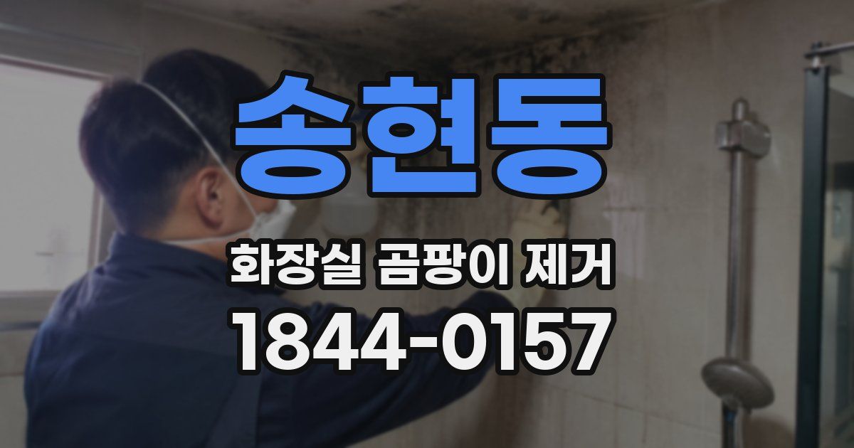 송현동 화장실 곰팡이 제거