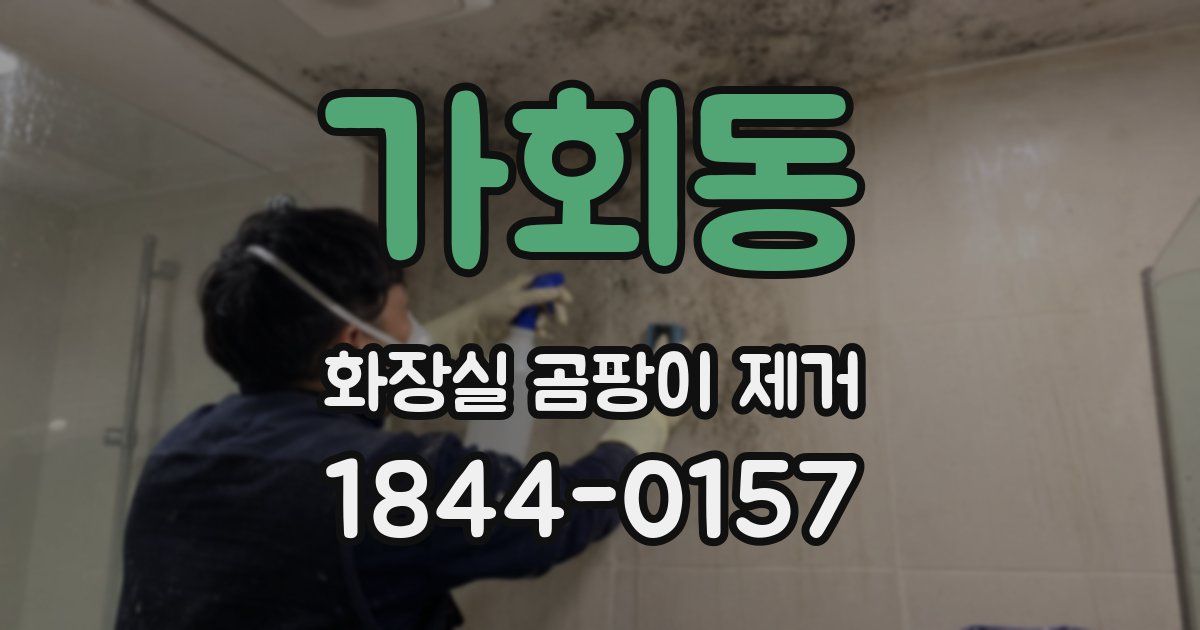가회동 화장실 곰팡이 제거
