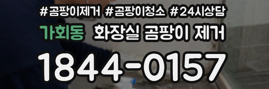 가회동 화장실 곰팡이 제거
