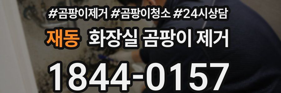 재동 화장실 곰팡이 제거