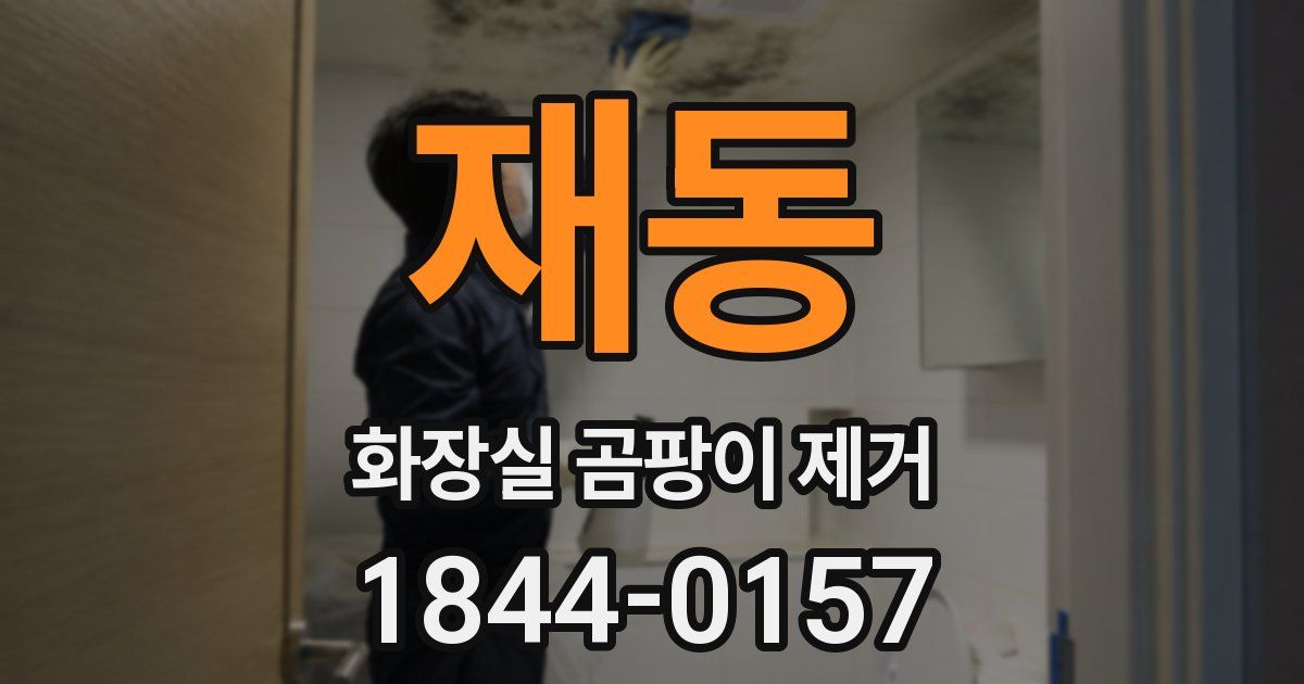 재동 화장실 곰팡이 제거