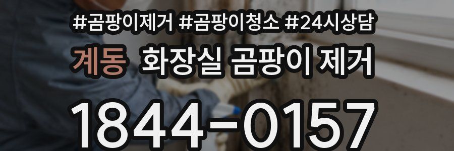 계동 화장실 곰팡이 제거