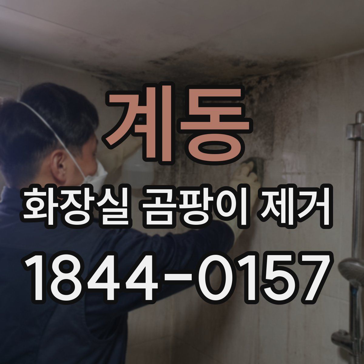 계동 화장실 곰팡이 제거