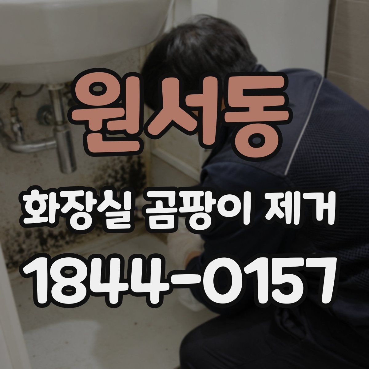 원서동 화장실 곰팡이 제거 변기 인근 검은곰팡이 원인과 대처