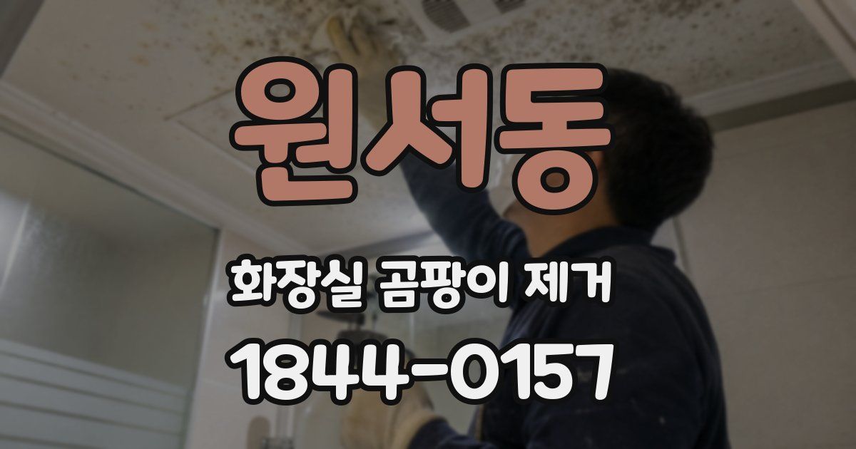 원서동 화장실 곰팡이 제거