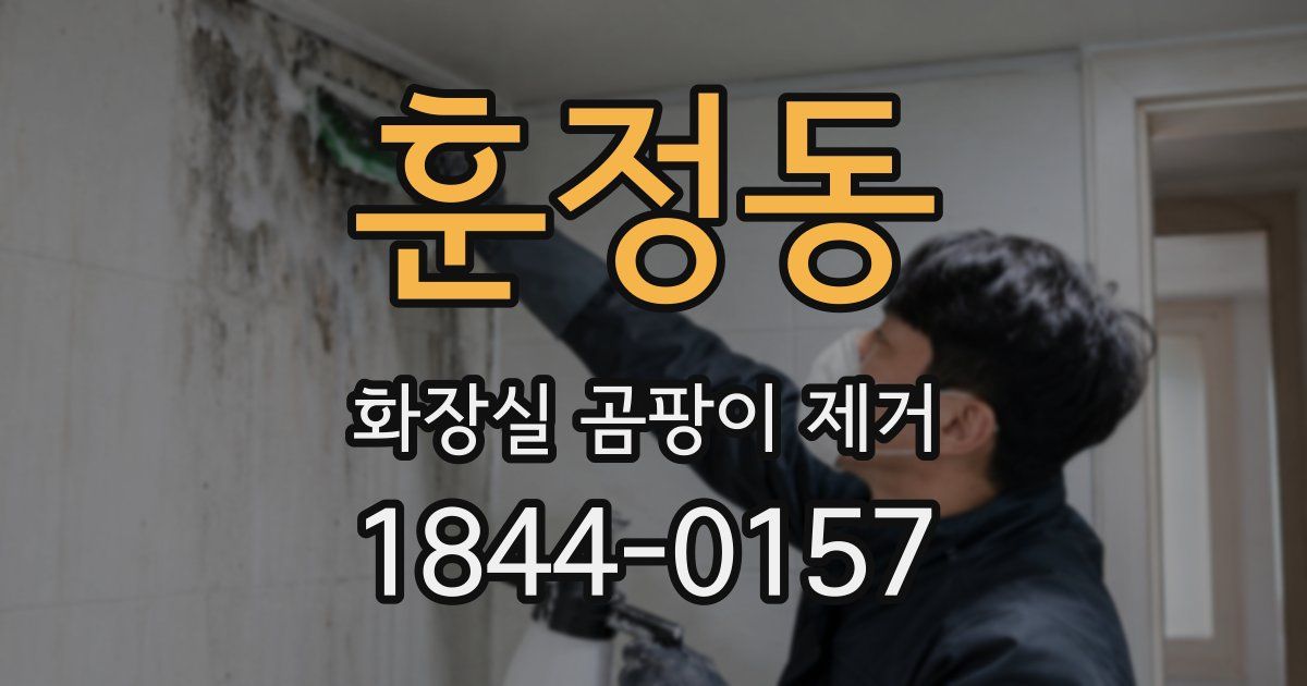 훈정동 화장실 곰팡이 제거