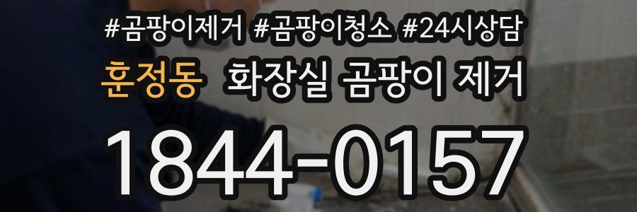 훈정동 화장실 곰팡이 제거
