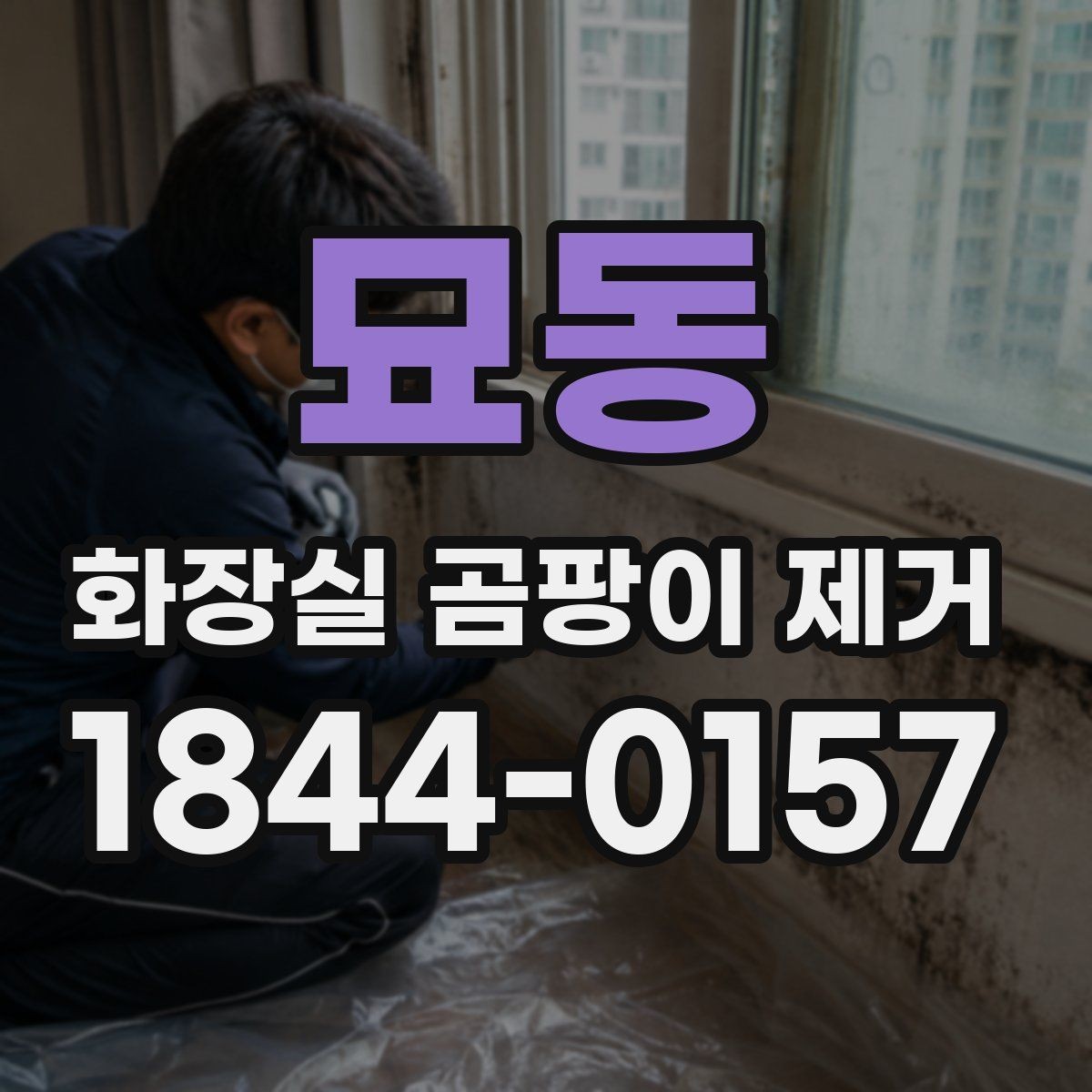 묘동 화장실 곰팡이 제거 배수구와 트랩 청소를 함께 해야 하는 이유