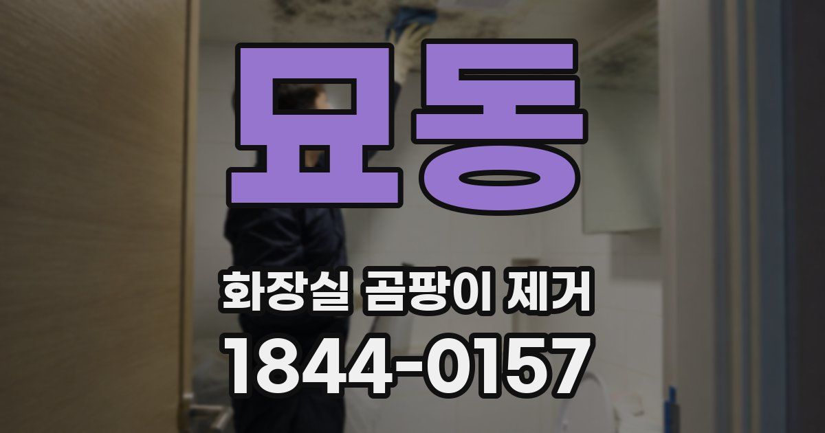묘동 화장실 곰팡이 제거