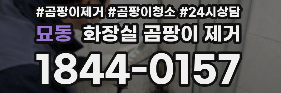 묘동 화장실 곰팡이 제거