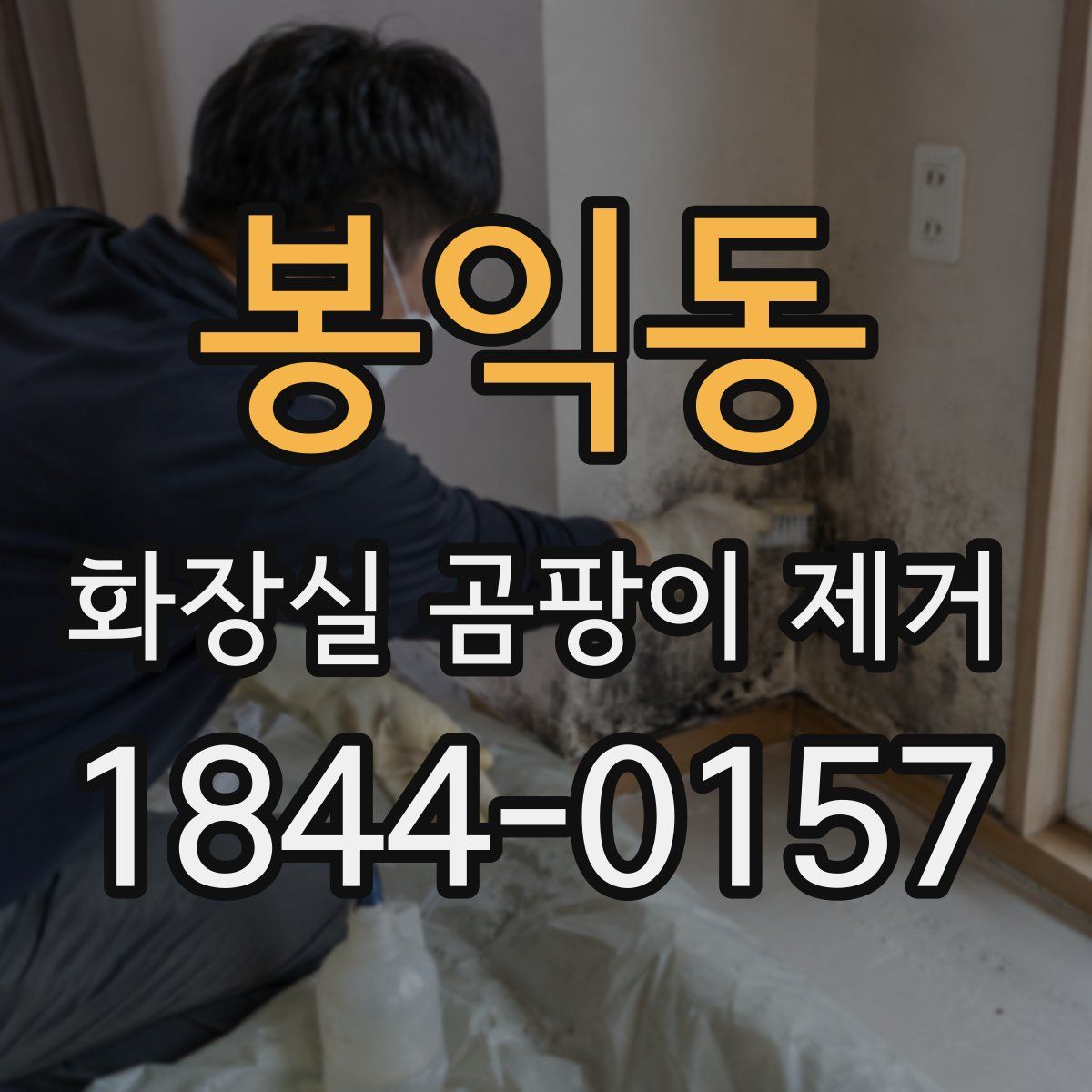 봉익동 화장실 곰팡이 제거
