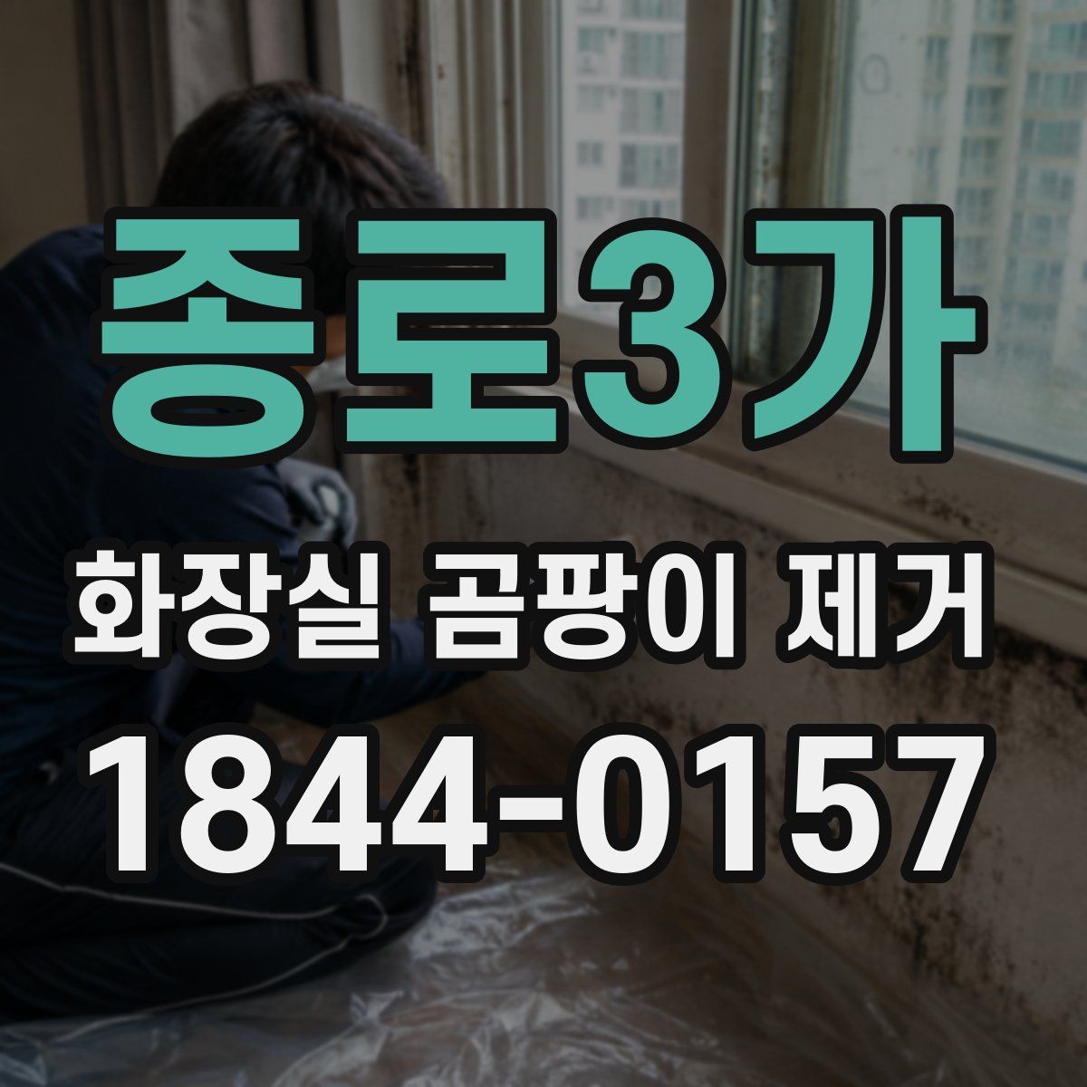 종로3가 화장실 곰팡이 제거